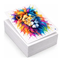Papel de sublimación